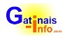 Page d'accueil du site "Gâtinais-Info.com"