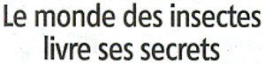 L'exposition " Les insectes bâtisseurs " - Article paru dans l'Eclaireur-du-Gâtinais du 16.08.2012. Cliquez ICI pour en prendre connaissance.